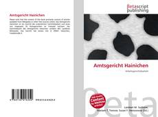 Capa do livro de Amtsgericht Hainichen 