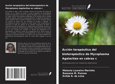 Capa do livro de Acción terapéutica del bioterapéutico de Mycoplasma Agalactiae en cabras c 
