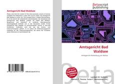 Copertina di Amtsgericht Bad Waldsee