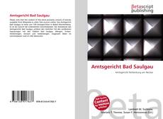 Couverture de Amtsgericht Bad Saulgau