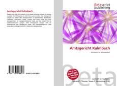 Copertina di Amtsgericht Kulmbach