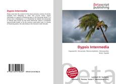Buchcover von Dypsis Intermedia