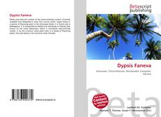 Capa do livro de Dypsis Faneva 