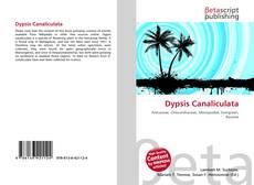Capa do livro de Dypsis Canaliculata 