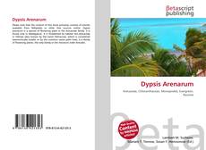 Couverture de Dypsis Arenarum
