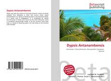 Couverture de Dypsis Antanambensis