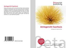 Copertina di Amtsgericht Saarlouis
