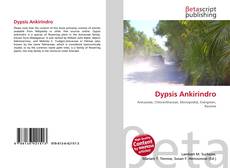 Copertina di Dypsis Ankirindro