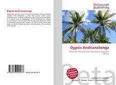 Copertina di Dypsis Andrianatonga