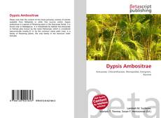 Capa do livro de Dypsis Ambositrae 