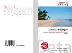 Copertina di Dypsis Ambanjae