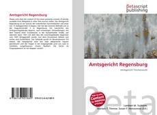 Couverture de Amtsgericht Regensburg