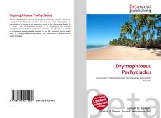 Capa do livro de Drymophloeus Pachycladus 