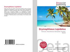 Capa do livro de Drymophloeus Lepidotus 