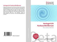 Couverture de Amtsgericht Pankow/Weißensee