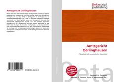 Couverture de Amtsgericht Oerlinghausen