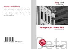Couverture de Amtsgericht Neustrelitz