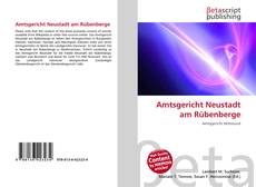 Amtsgericht Neustadt am Rübenberge kitap kapağı