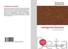 Couverture de Amtsgericht Ottweiler