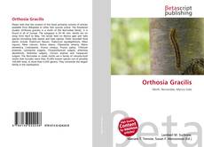 Copertina di Orthosia Gracilis
