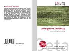 Buchcover von Amtsgericht Marsberg