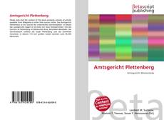 Couverture de Amtsgericht Plettenberg