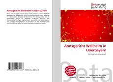 Amtsgericht Weilheim in Oberbayern kitap kapağı