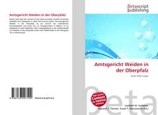 Copertina di Amtsgericht Weiden in der Oberpfalz