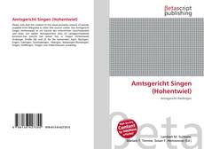 Couverture de Amtsgericht Singen (Hohentwiel)