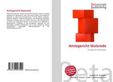 Capa do livro de Amtsgericht Walsrode 