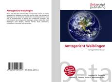 Capa do livro de Amtsgericht Waiblingen 