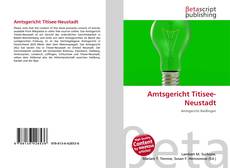 Copertina di Amtsgericht Titisee-Neustadt