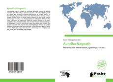 Aundha Nagnath kitap kapağı