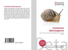 Copertina di Fusolatirus Balicasagensis