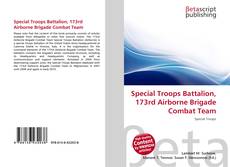 Copertina di Special Troops Battalion, 173rd Airborne Brigade Combat Team