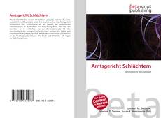 Copertina di Amtsgericht Schlüchtern