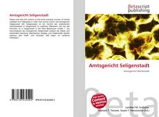 Buchcover von Amtsgericht Seligenstadt