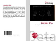 Copertina di Seandún GAA