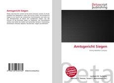 Bookcover of Amtsgericht Siegen