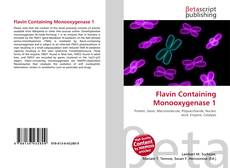 Copertina di Flavin Containing Monooxygenase 1