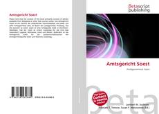 Copertina di Amtsgericht Soest