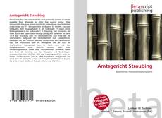 Couverture de Amtsgericht Straubing