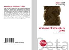 Buchcover von Amtsgericht Schönebeck (Elbe)