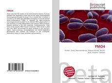 Buchcover von FMO4