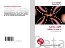 Couverture de Amtsgericht Schwalmstadt