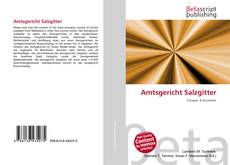 Buchcover von Amtsgericht Salzgitter