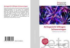 Amtsgericht Villingen-Schwenningen的封面