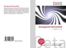 Capa do livro de Amtsgericht Remscheid 