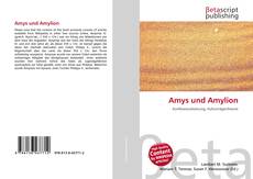 Couverture de Amys und Amylion