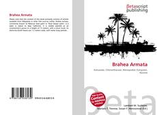 Copertina di Brahea Armata